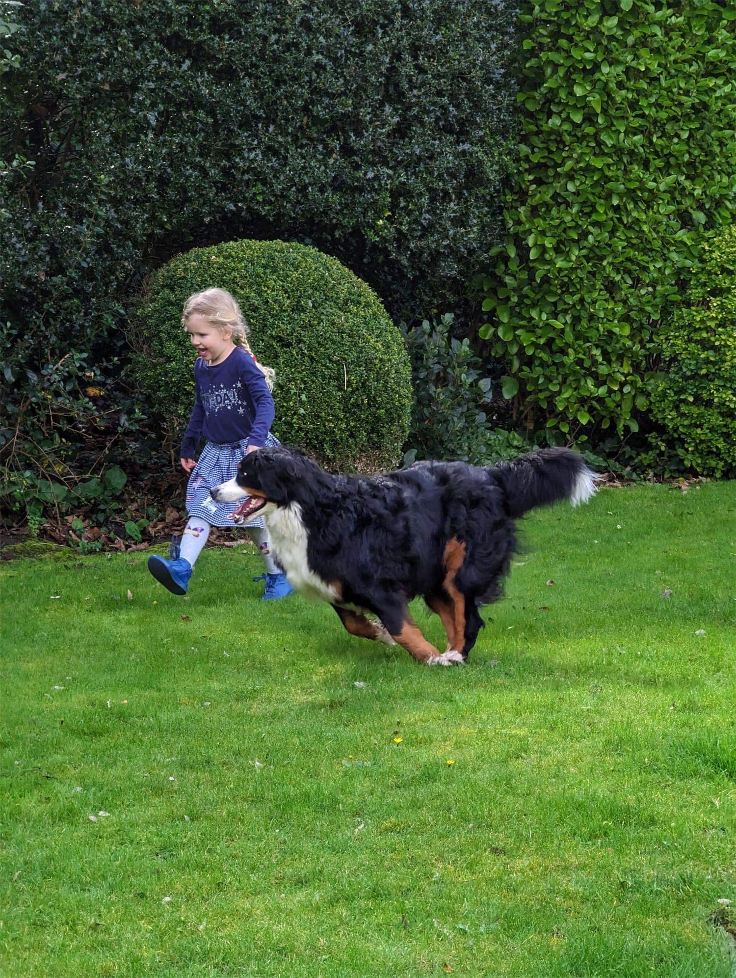 Dogs are welcome to Haviland Cottage Isle of Wight located near Ventnor on Bonchurch village